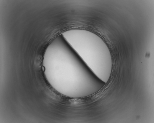 X0000096980273200802151337