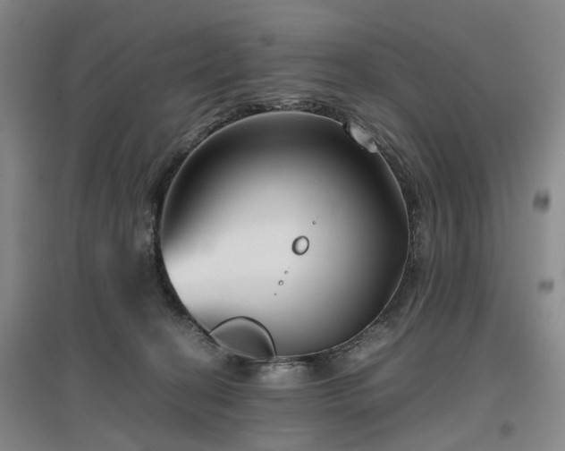 X0000096980274200802151337