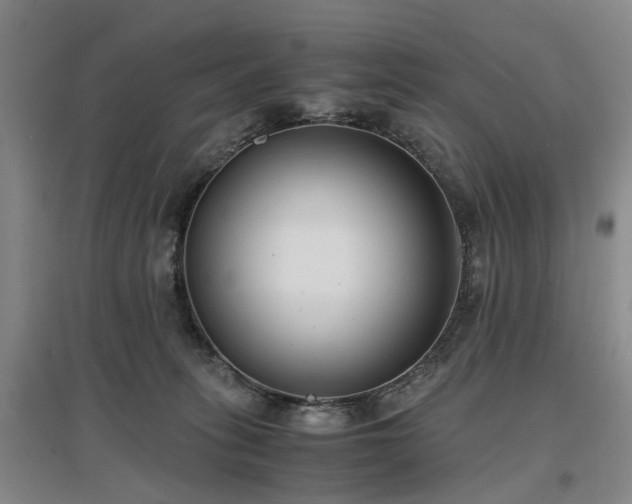 X0000096980275200802151337