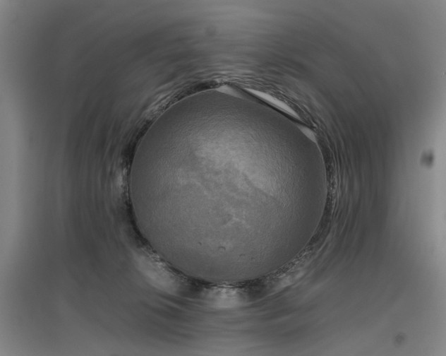 X0000096980276200802151337