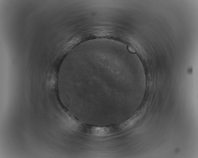 X0000096980277200802151337