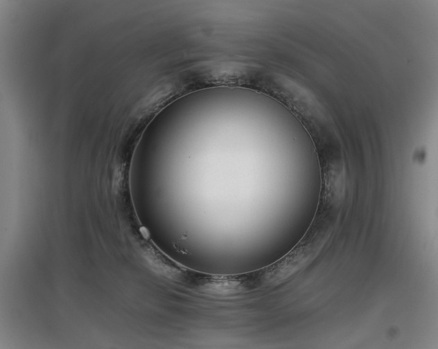 X0000096980278200802151337