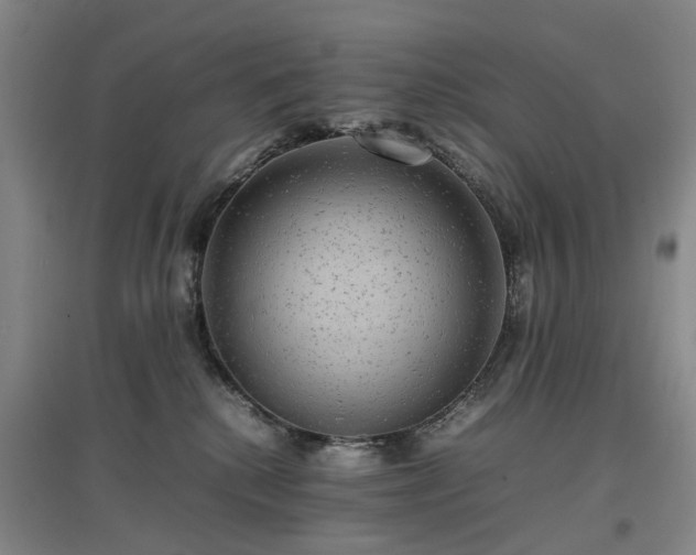 X0000096980280200802151337