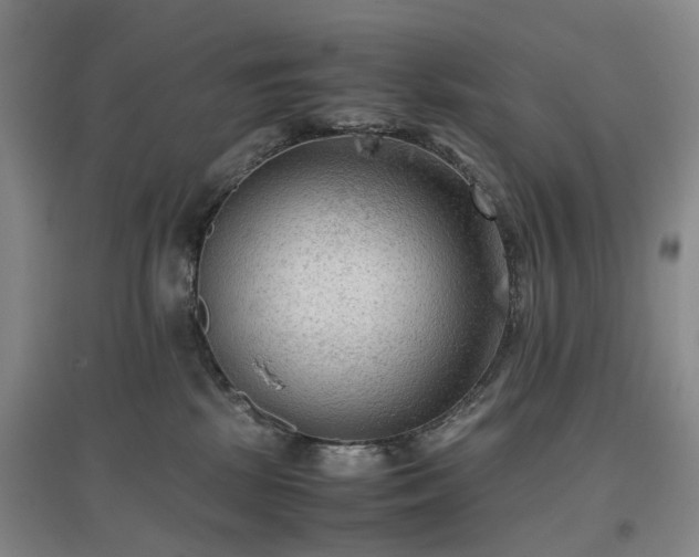 X0000096980281200802151337