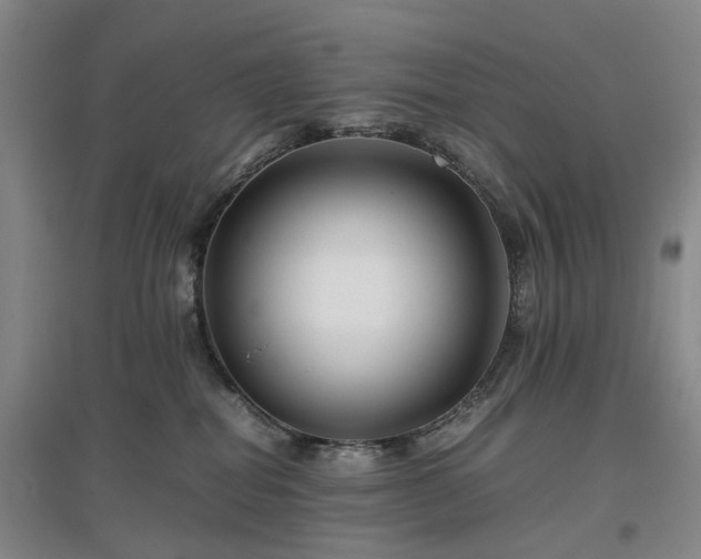 X0000096980282200802151337