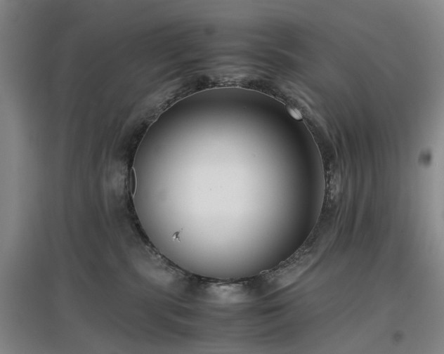 X0000096980283200802151337