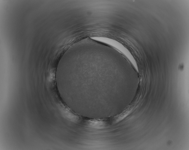 X0000096980284200802151337