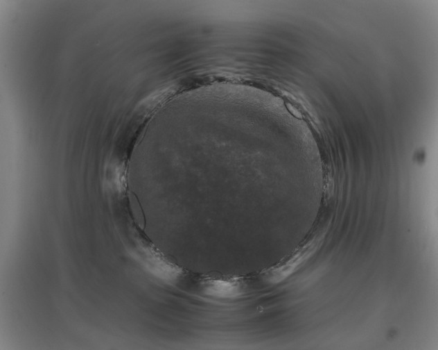 X0000096980285200802151337