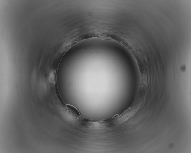 X0000096980286200802151337