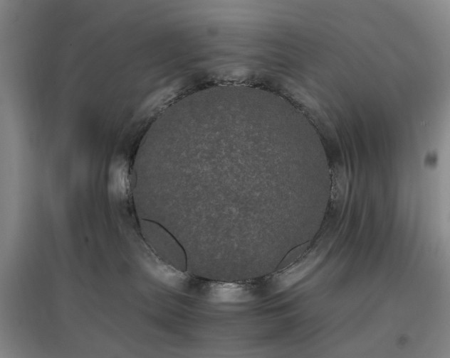 X0000096980287200802151337