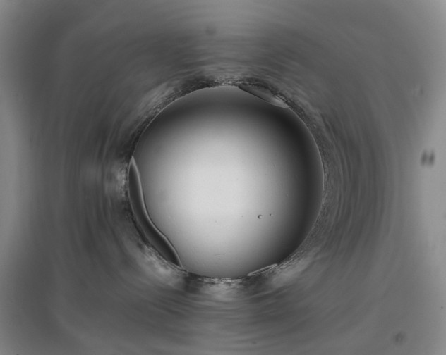 X0000096980288200802151337