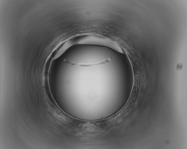 X0000096980290200802151336