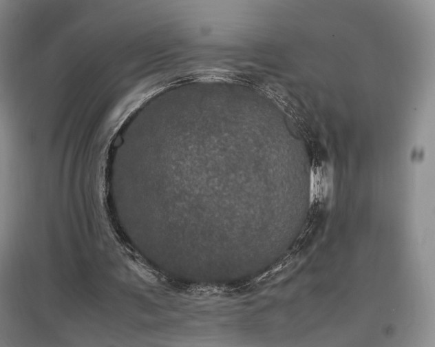 X0000096980291200802151336