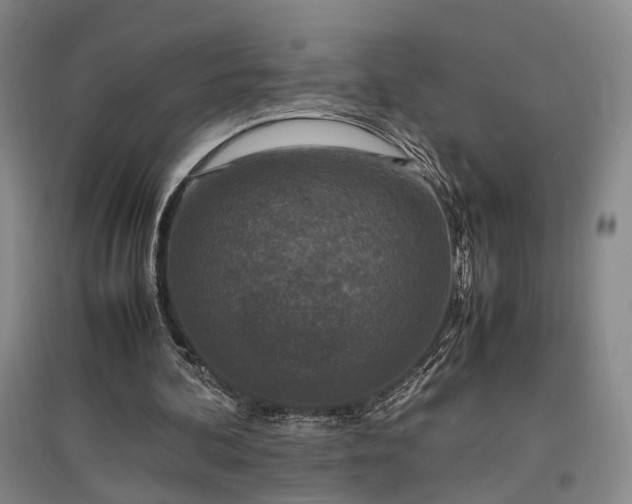 X0000096980292200802151336