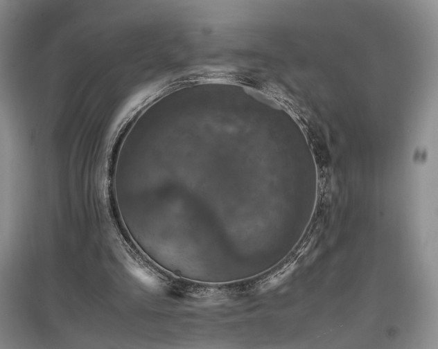 X0000096980293200802151336