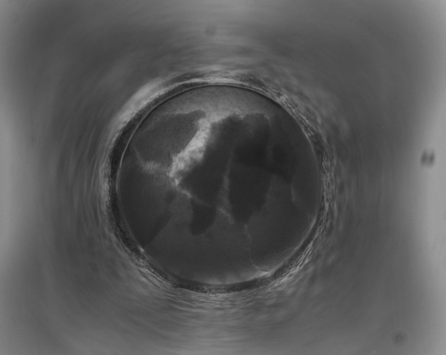 X0000096980295200802151336