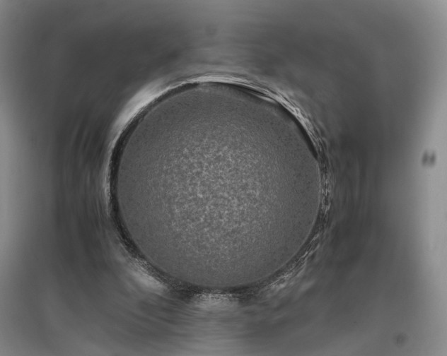 X0000096980296200802151336