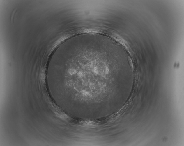 X0000096980297200802151336