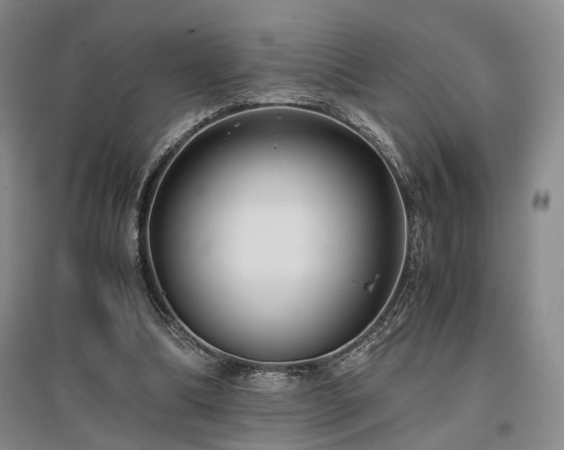 X0000096980298200802151336