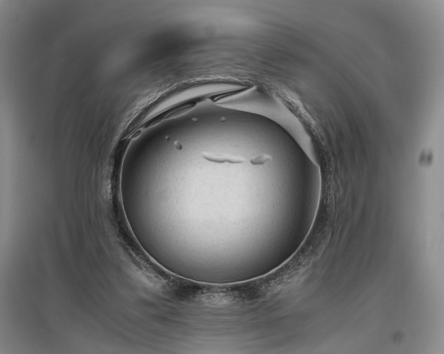 X0000096980299200802151336