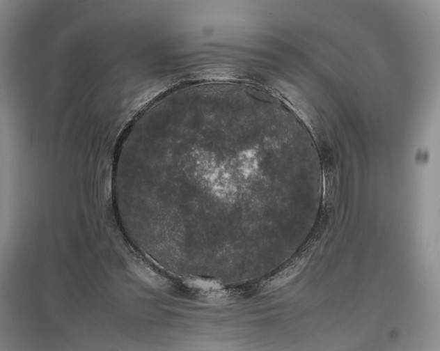 X0000096980301200802151336