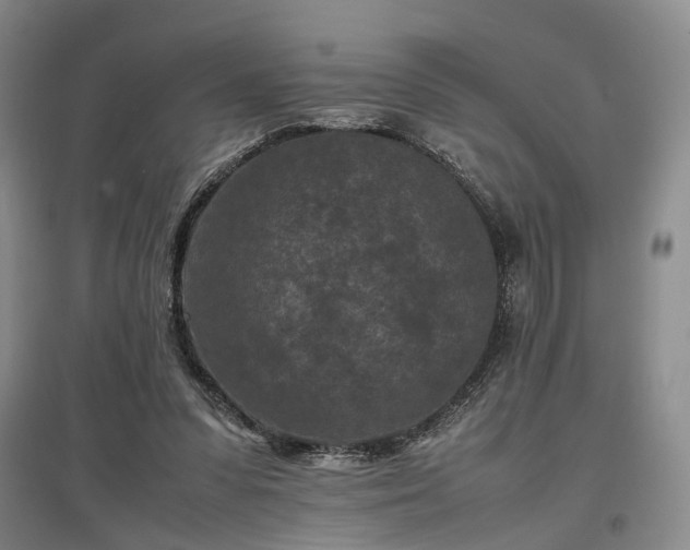 X0000096980303200802151336