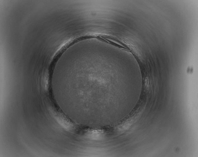 X0000096980304200802151336