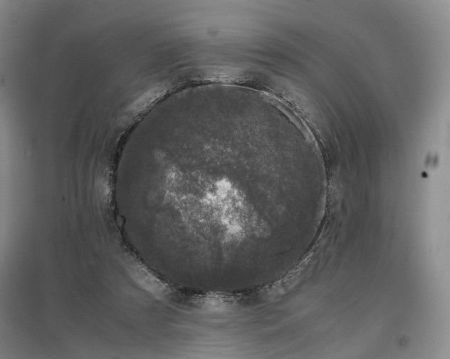 X0000096980305200802151336