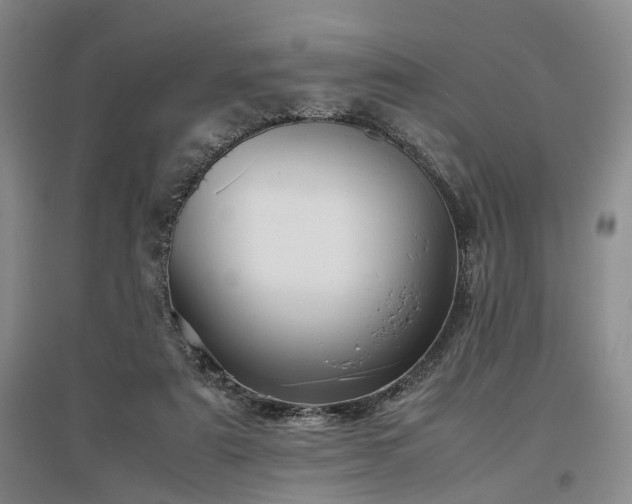 X0000096980307200802151336