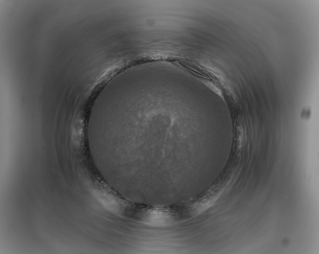 X0000096980308200802151336