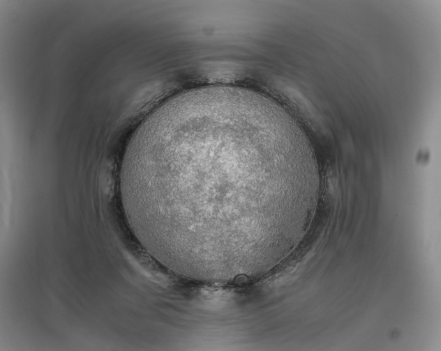 X0000096980311200802151336