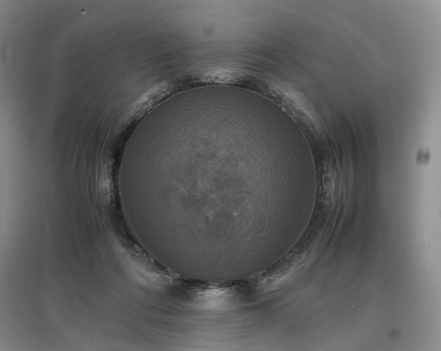 X0000096980312200802151336