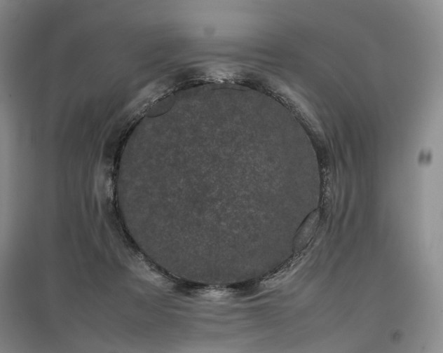 X0000096980313200802151336