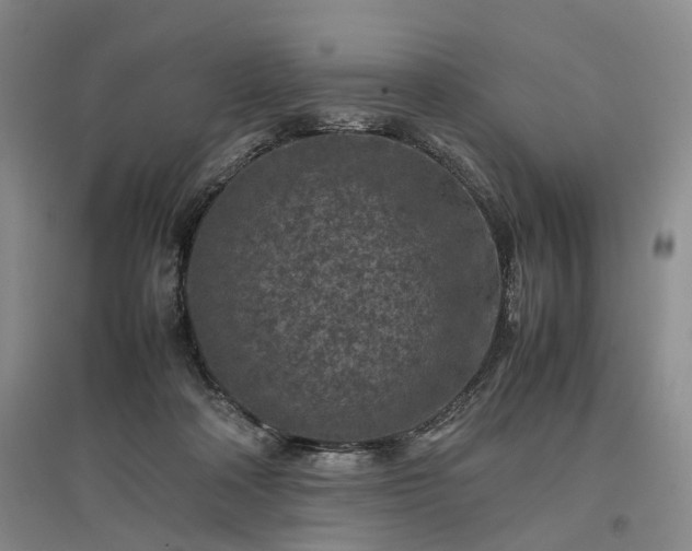 X0000096980314200802151336