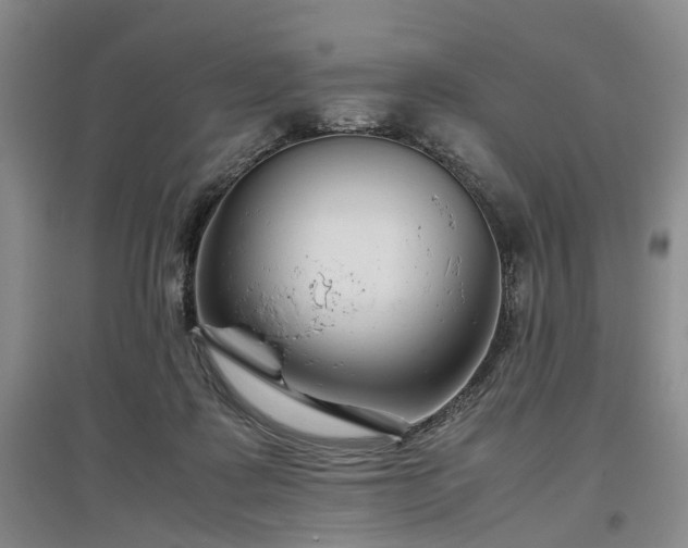 X0000096980315200802151336