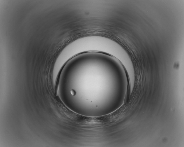 X0000096980316200802151336