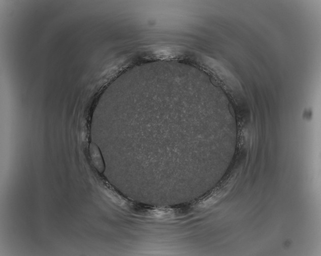 X0000096980317200802151336