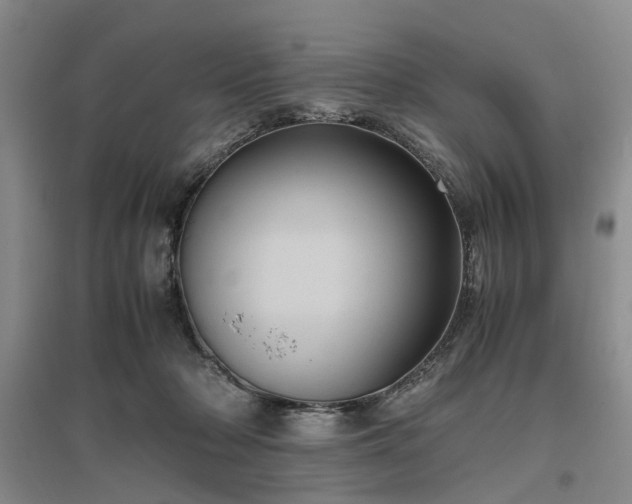 X0000096980318200802151336