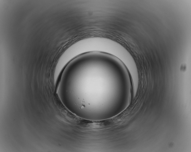 X0000096980320200802151336