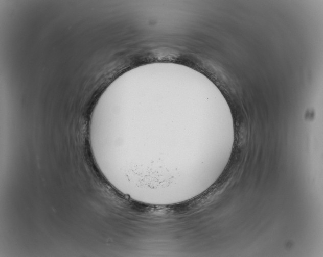 X0000096980321200802151336