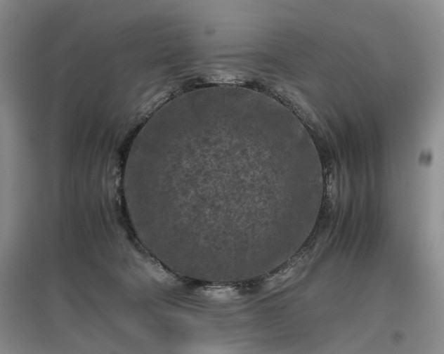 X0000096980322200802151336