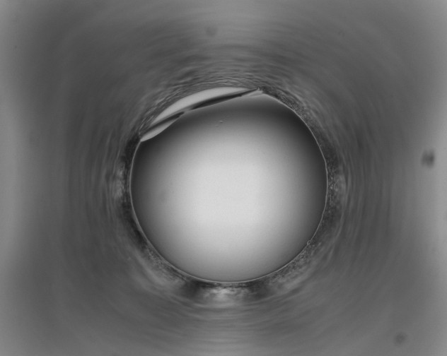 X0000096980323200802151336