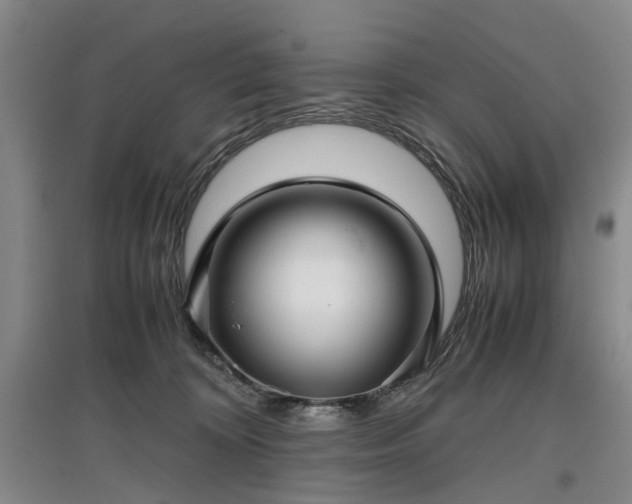 X0000096980324200802151336