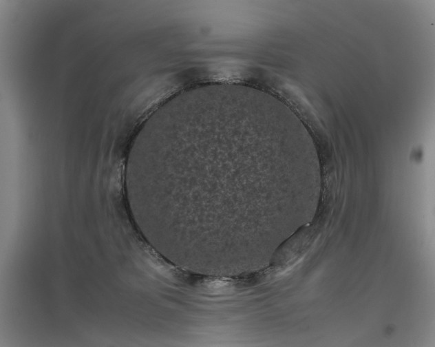 X0000096980325200802151336