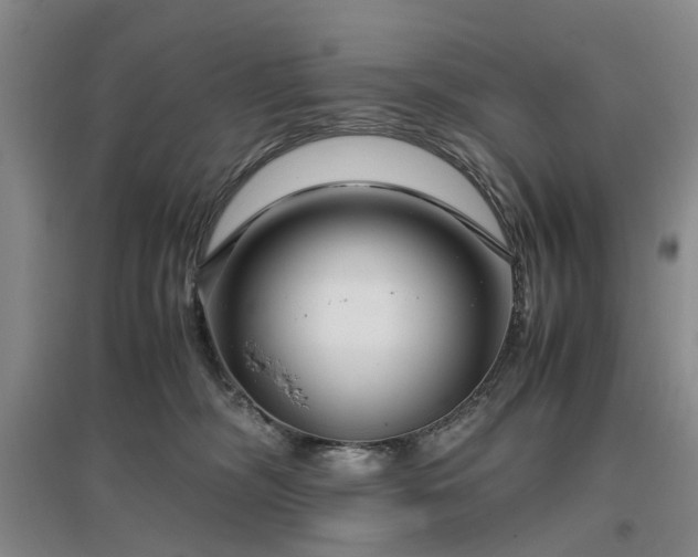 X0000096980326200802151336