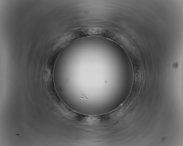 X0000096980327200802151336