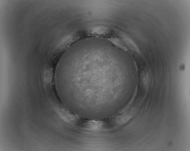 X0000096980328200802151336