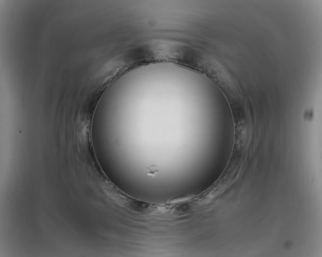 X0000096980329200802151336