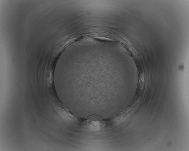 X0000096980330200802151336