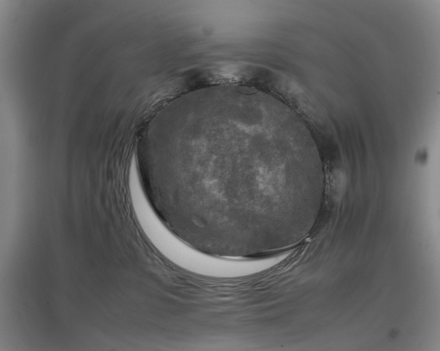 X0000096980331200802151336